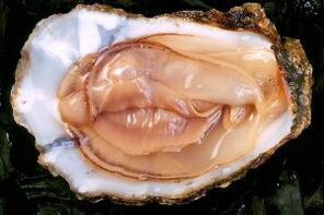 La ostra es un poderoso estimulante del deseo sexual